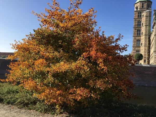 Herbstbild