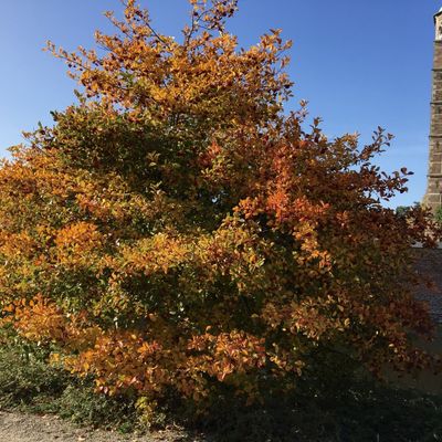 Herbstbild