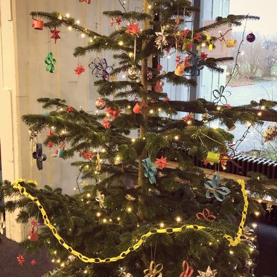Weihnachtsbaum 