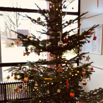 Weihnachtsbaum_2021