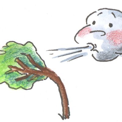 Wind