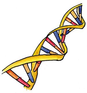 Biologie