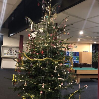 Weihnachtsbaum_22